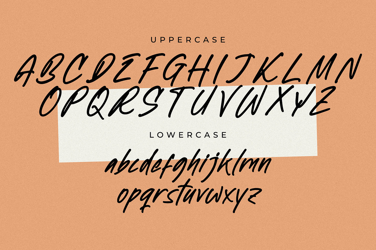 Newtonick Chodes Display Handbrush, a Script Font by Letterena Studios Script (Photo 14 of 15)