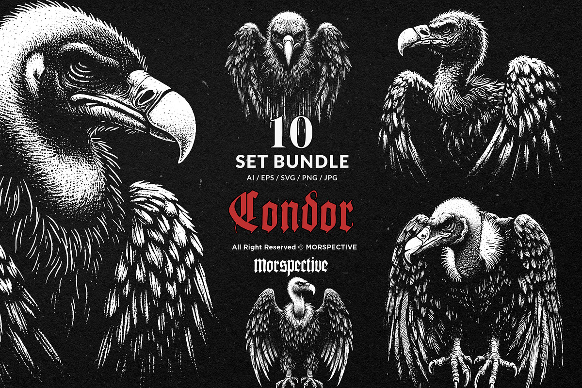10 Bundle Dark Art Condor Bird, an Illustration by Morspective (Photo 1 of 7)