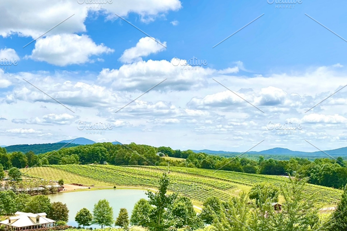 North Georgia Wine Country, a Nature Photo by Wild Wanderer Photography (Photo 1 of 2)