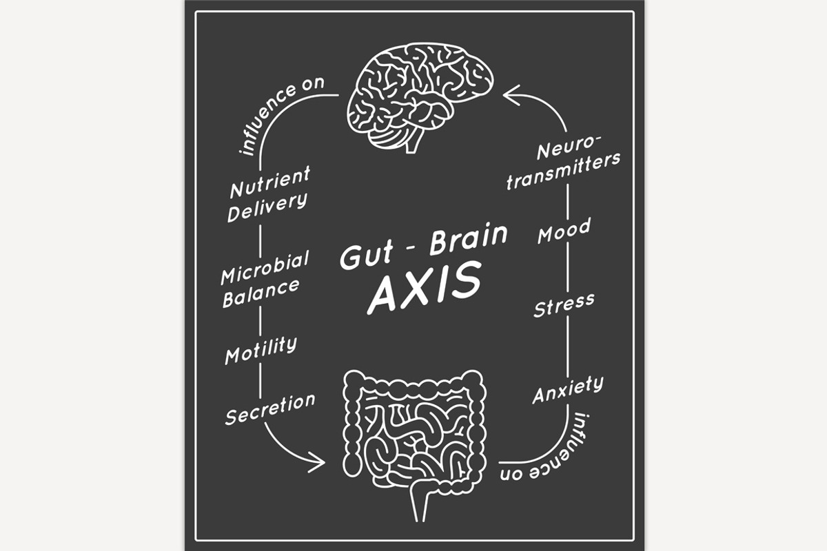 Gut - Brain AXIS vertical poster, a Food Illustration by Anna's Shop