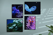 Avelino - 4:5 Frame Scene Creator, a Household Mockup by Lifestyle Project (Thumbnail 4 of 12)