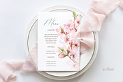 Blossoms Sakura Collection, a Decorative Illustration by ReachDreams (Thumbnail 3 of 7)