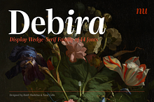 Debira — 14 Fonts