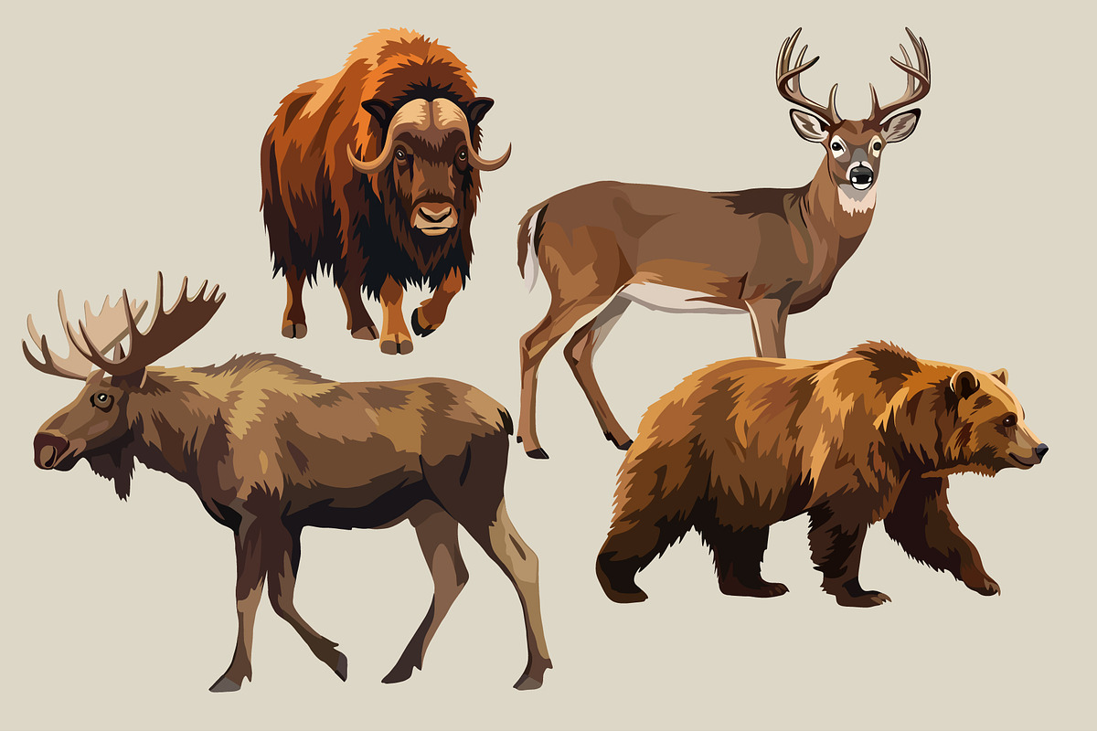 Animals of North America Vector Set, an Animal Illustration by Katerina Peres (Photo 7 of 8)