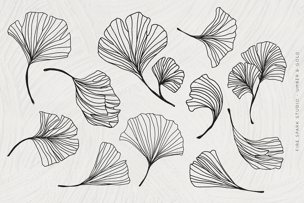 Ginkgo Leaf Watercolor Illustrations, a Seasonal Illustration by Fire Spark Studio (Photo 3 of 8)