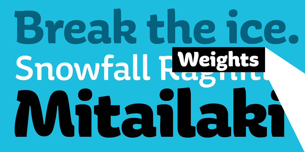Aniuk, a Sans Serif Font by Typejockeys (Photo 2 of 4)