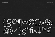 JHC Cordelius | Brutalist Typeface, a Sans Serif Font by Jehoo Creative (Thumbnail 8 of 12)