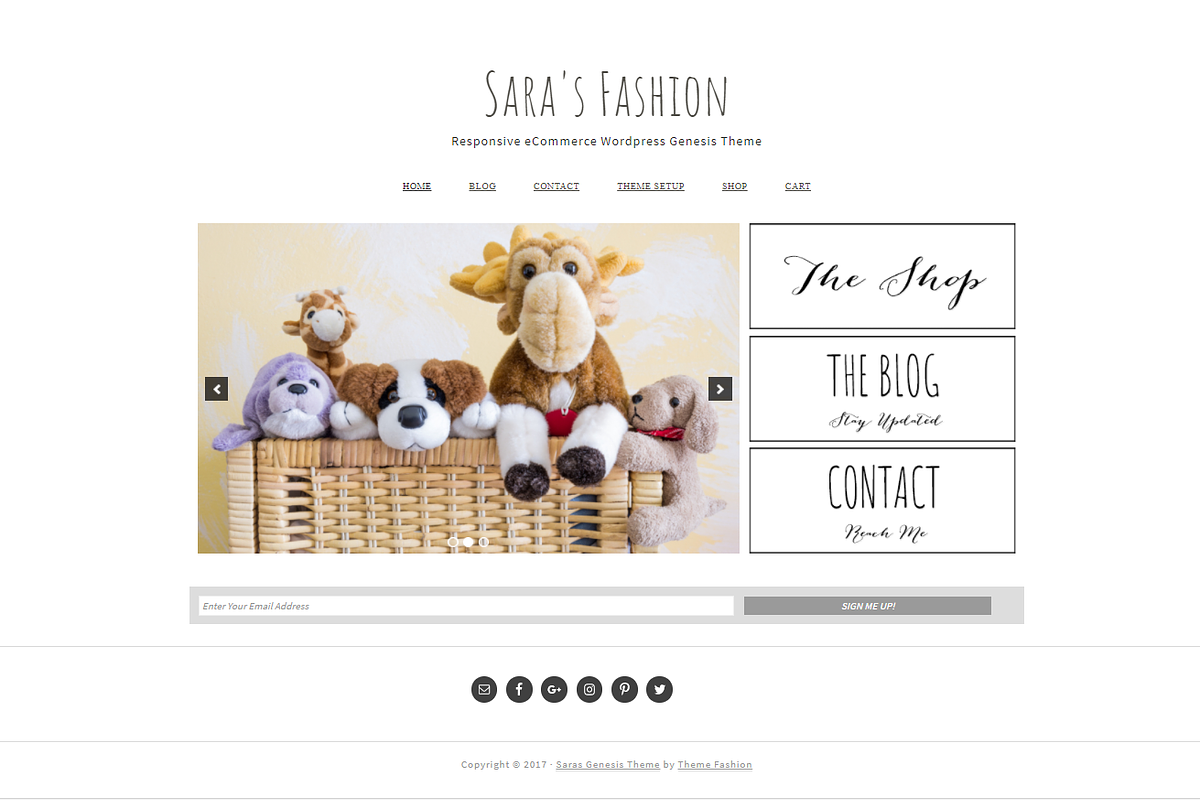 Ecommerce Wordpress Theme, a WordPress Template by Theme Fashion (Photo 1 of 5)