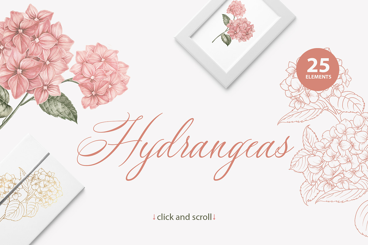 Sweet Roses and Hydrangeas, a Texture Illustration by Kotkoa (Photo 4 of 14)