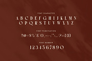 Caoges – Luxury Contrast Serif Font, a Serif Font by Graphicxell (Thumbnail 7 of 8)