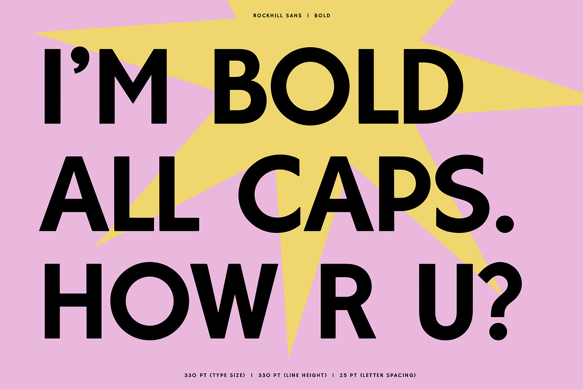 Rockhill Sans: A Diverse Sans Serif preview 3