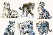 Watercolor Snow Leopard Clipart, an Animal Illustration by Design Scotch (Thumbnail 3 of 8)