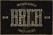 Whole Store Bundle | 95 OFF, a Serif Font by Swistblnk Std. (Thumbnail 29 of 60)