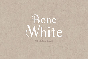 Cityp Serif Font