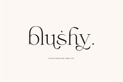 Fragile - Modern Serif, a Serif Font by Sans & Sons (Thumbnail 5 of 10)
