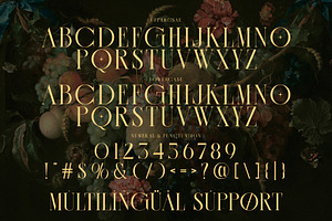 CASSEROS MASSCOTTES Elegant Serif