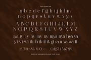Qaliyan Elegant Serif Font, a Serif Font by Elegant Font (Thumbnail 8 of 8)