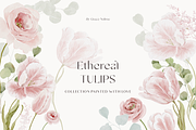 Watercolor pink blush tulips flowers, a Decorative Illustration by Grace Noboa Illustrations (Thumbnail 6 of 8)