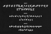 Telford Town - Bold Script Font, a Script Font by Mayofont (Thumbnail 10 of 11)
