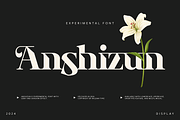 Anshizun, a Serif Font by Wildan Type (Thumbnail 1 of 8)