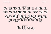 Collonie, a Serif Font by yumnatype (Thumbnail 10 of 10)