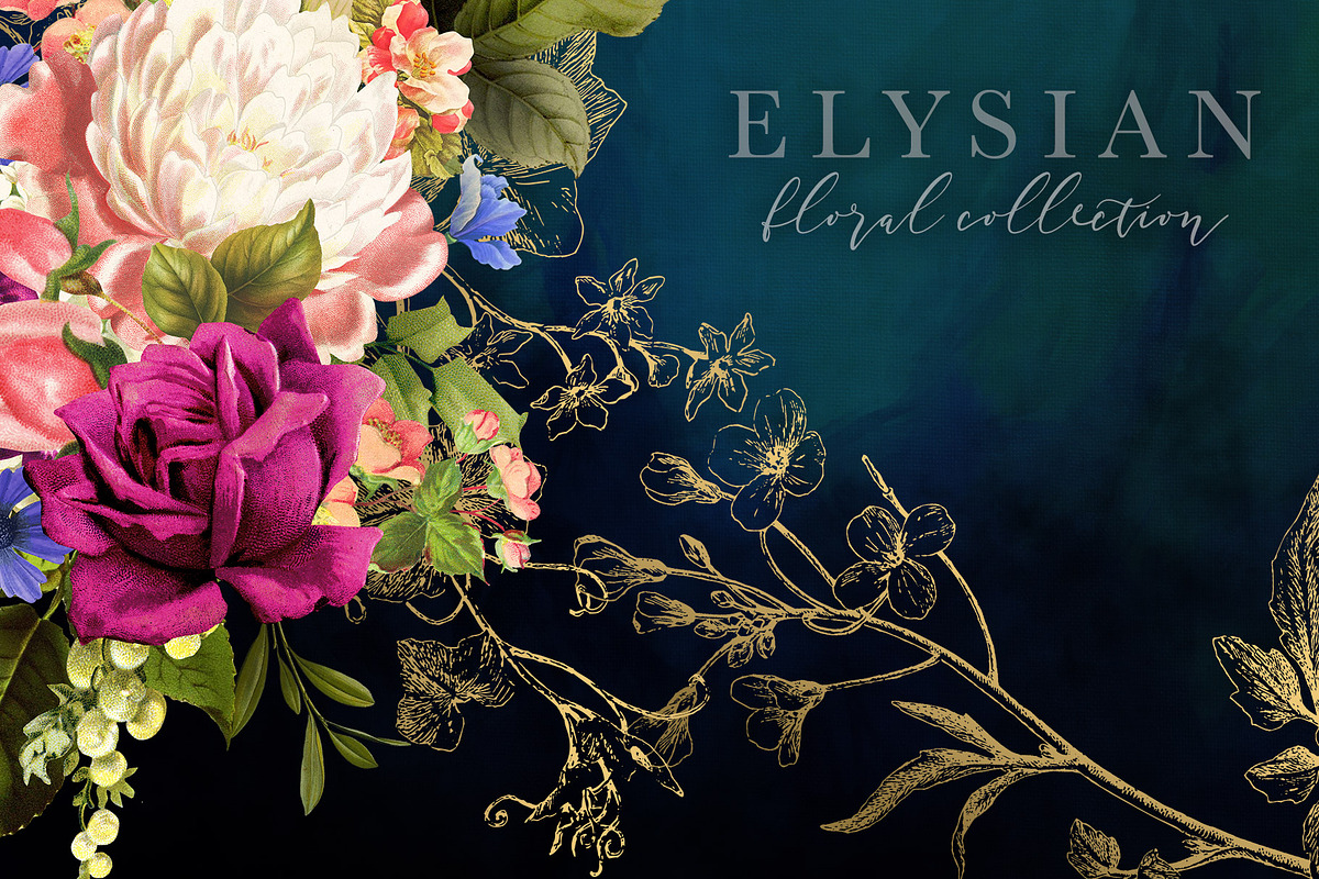 Elysian Floral Collection, an Illustration by Eclectic Anthology (Photo 10 of 15)