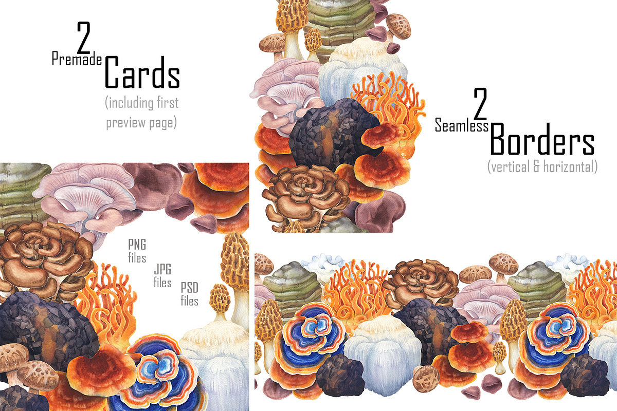 Watercolor Medicinal Mushrooms, a Healthcare Illustration by Ekaterina Glazkova (Photo 9 of 9)