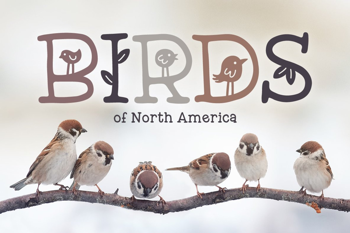 Mother Nature Font preview 6