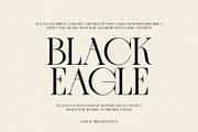 BLACK EAGLE - Modern Display Serif, a Serif Font by Mikhail Fukurou (Thumbnail 1 of 8)
