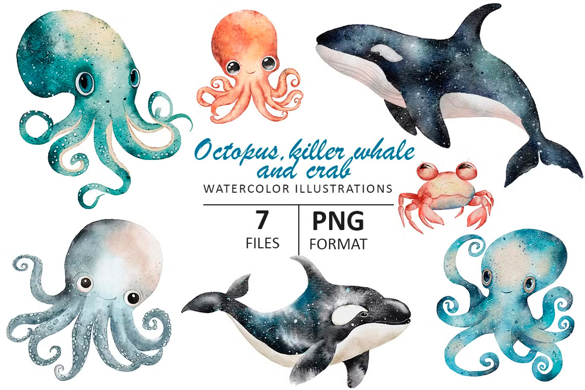 OCEAN BUNDLE, an Animal Illustration by Evgeniia (Photo 12 of 16)