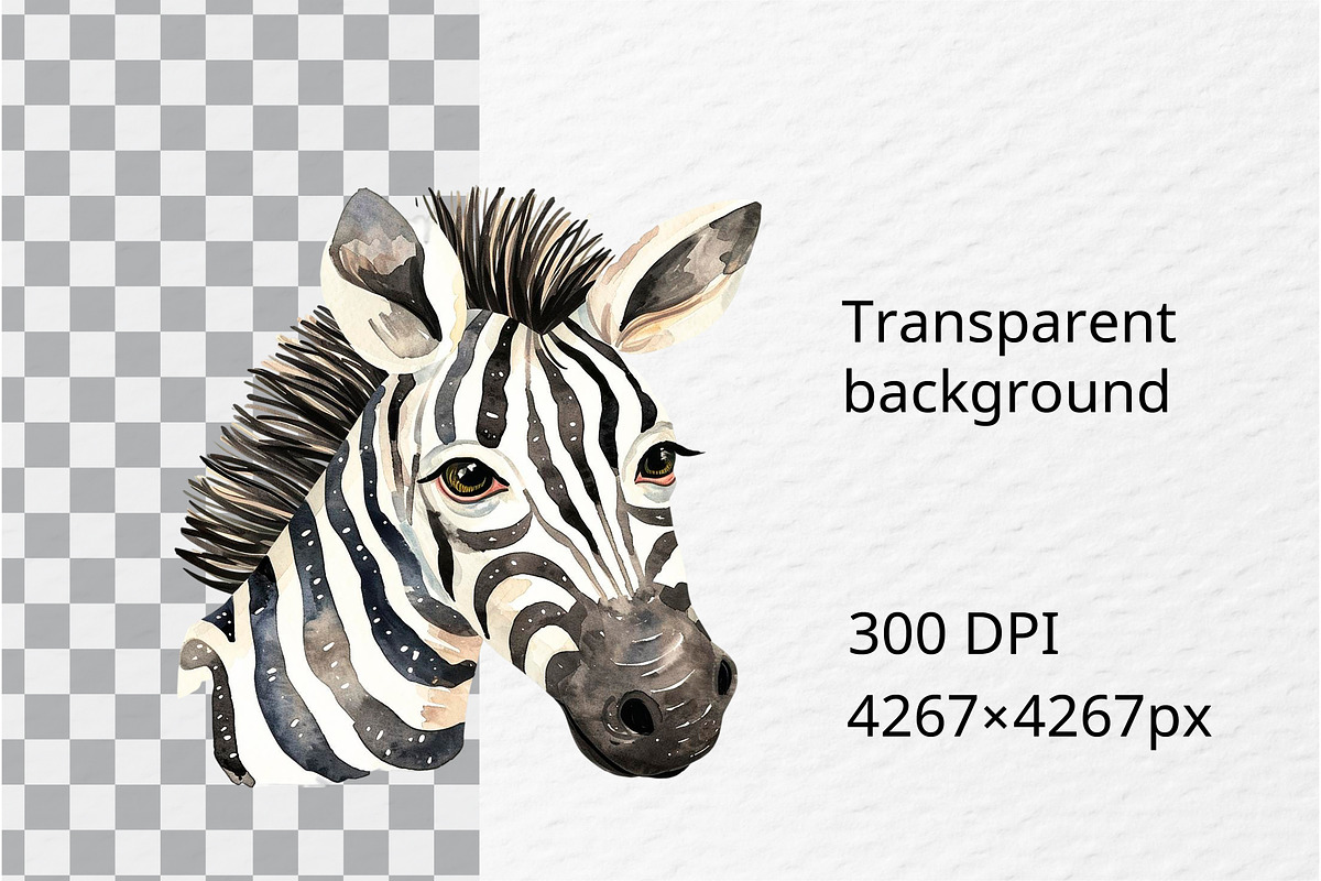 Watercolor zebra clipart, an Illustration by Idressart (Photo 3 of 10)
