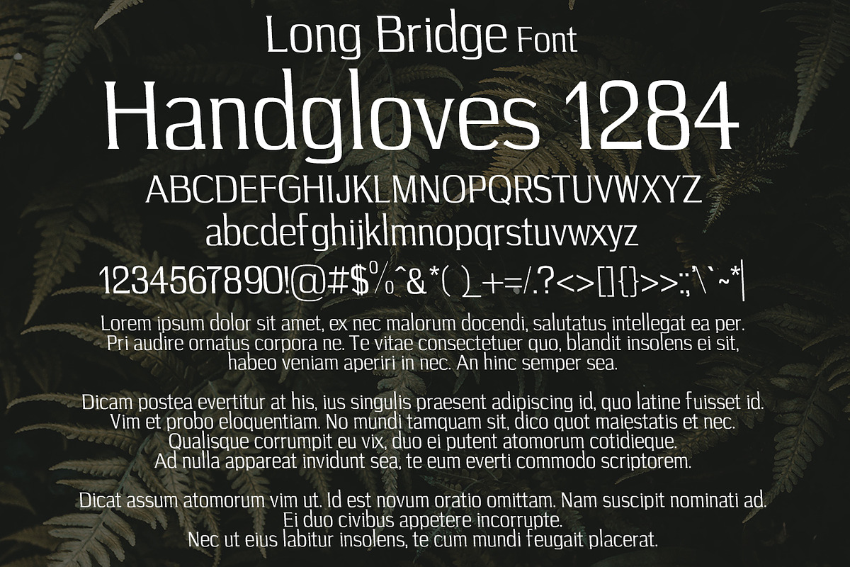 Long Bridge Font preview 2