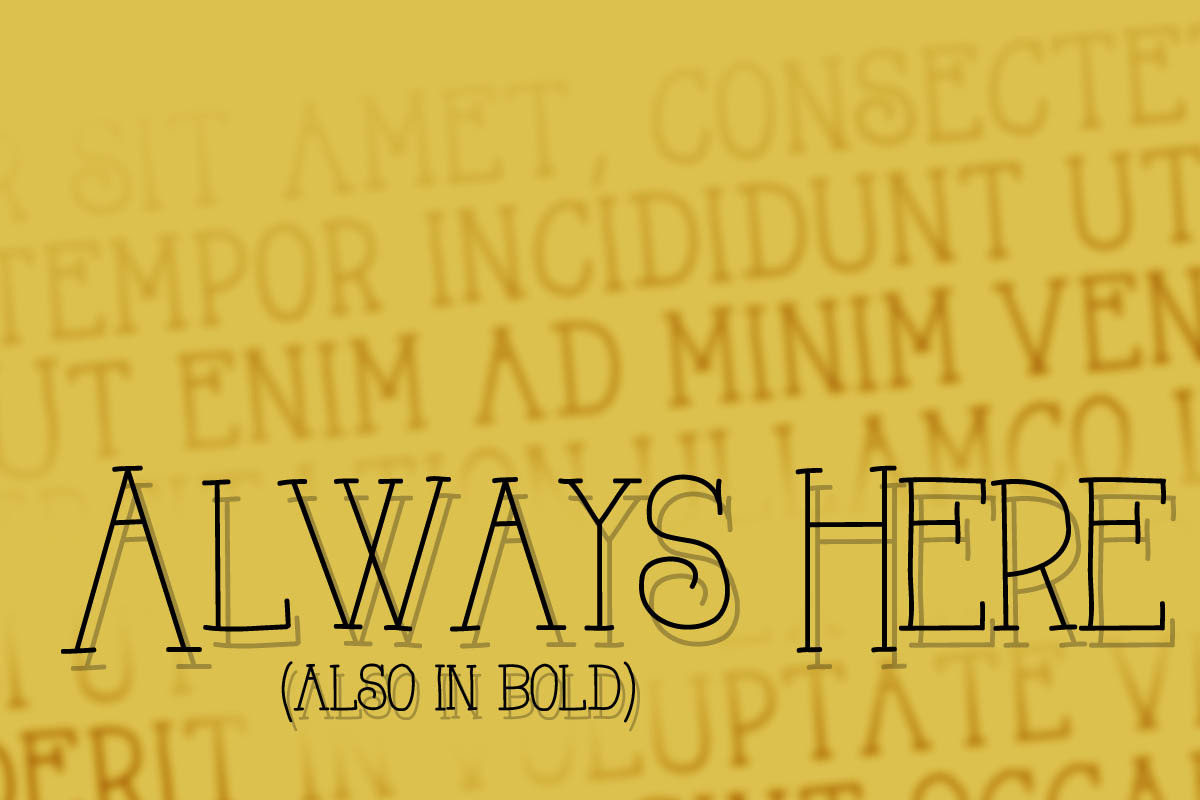 AlwaysHere, a Serif Font by Fonts by Jake L (Photo 2 of 2)
