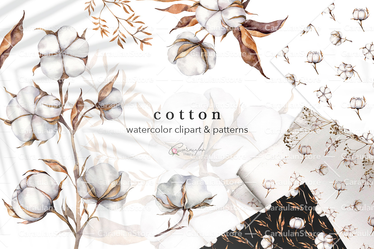 Cotton Watercolor Clipart, an Object Illustration by CaraulanStore (Photo 1 of 17)