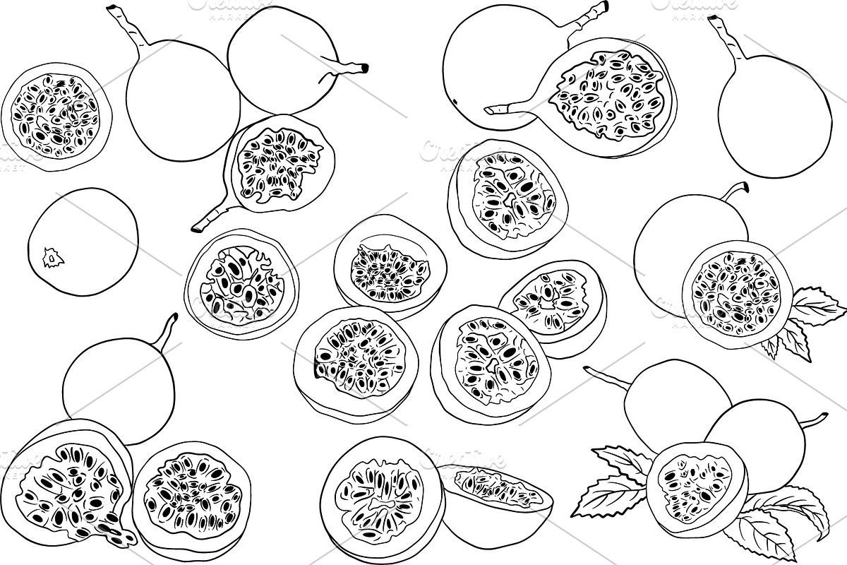 Hand drawn passion fruits, a Food Illustration by Elena Mykhailenko (Photo 2 of 8)