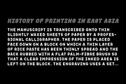 Apice – Font Family, a Font by Stefano Giliberti (Thumbnail 10 of 10)