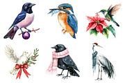 Christmas Birds Sublimation Clipart, an Illustration by Daily.Designs (Thumbnail 2 of 5)