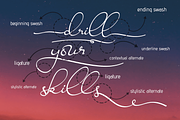 Ravishing Solidago Font, a Handwritten Font by Letterhanna Studio (Thumbnail 11 of 21)