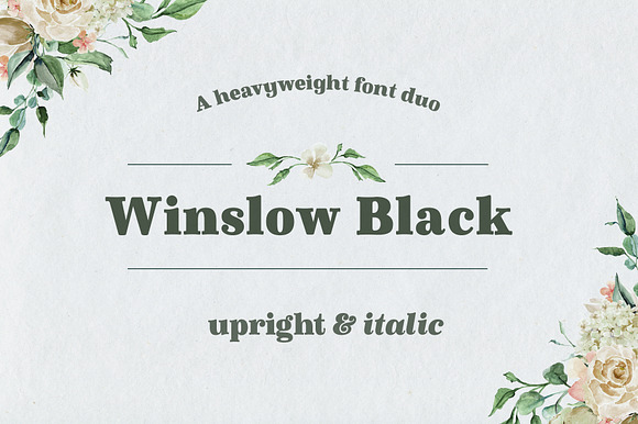Winslow Book Black preview 7