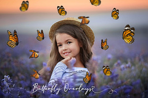 Butterfly Overlays, PNGs