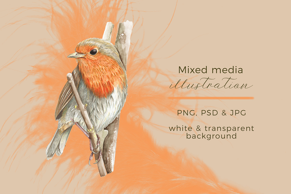 Beautiful Hand-painted Red Robin, a Decorative Illustration by Miriam Figueras (Photo 3 of 4)