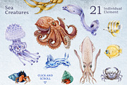 Sea Life Watercolor Clipart Set, an Animal Illustration by AnitaPol (Thumbnail 2 of 16)