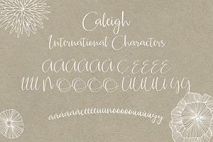 Caleigh Script Font With Bonus