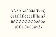 Ethereal Beauty Makeup Serif Font, a Serif Font by UICreative (Thumbnail 8 of 13)
