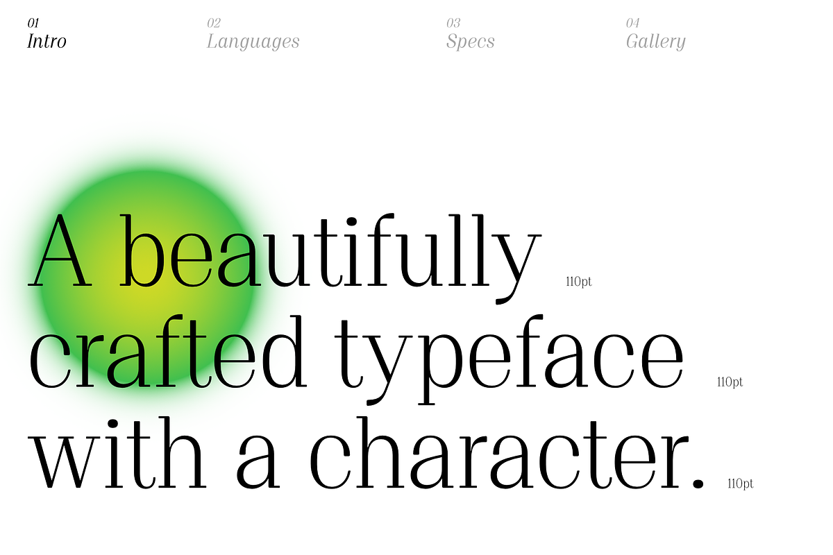Proto Serif Regular, a Serif Font by Bukva™ Type Foundry (Photo 2 of 13)
