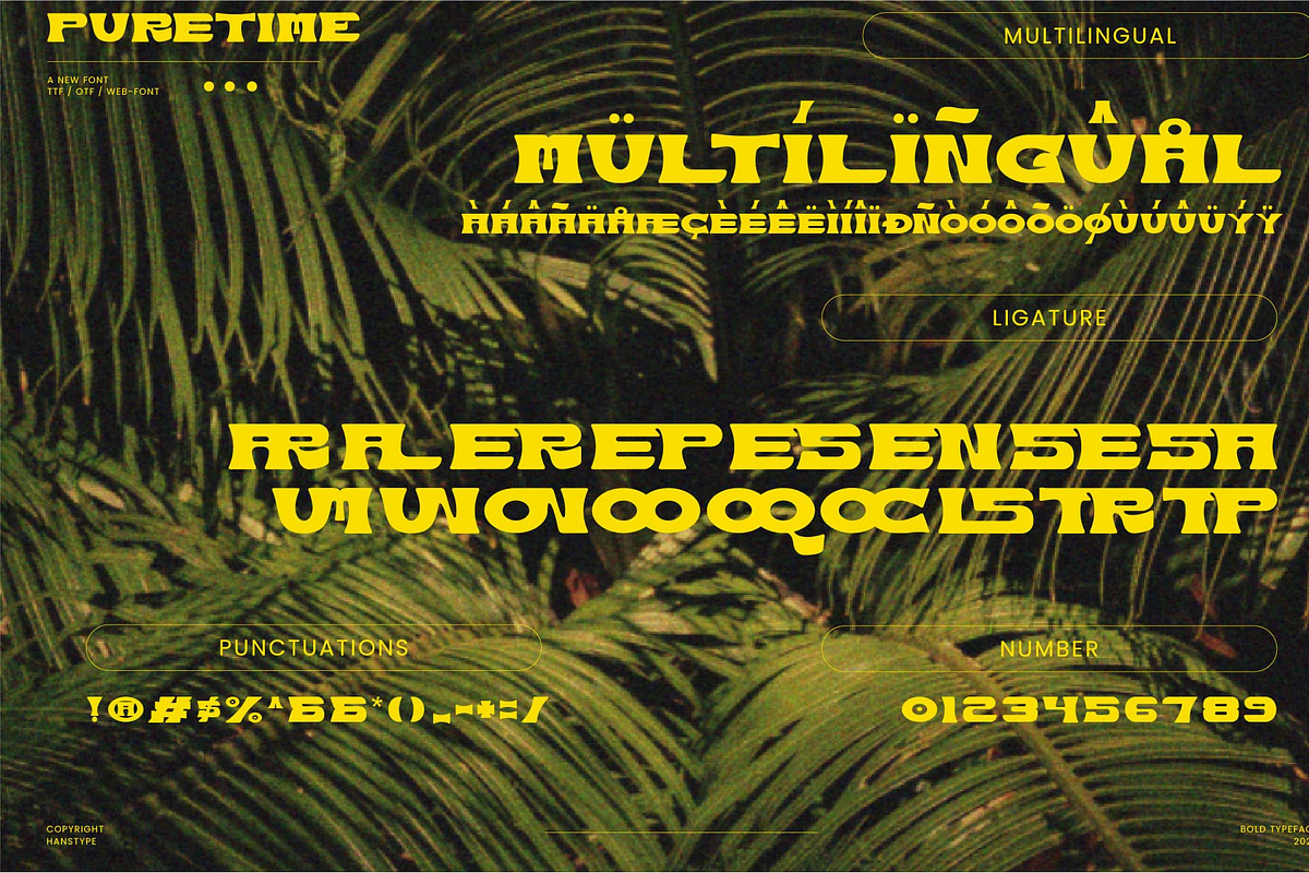 Puretime - Retro Vintage Bold Font, a Serif Font by Hanstype.com (Photo 3 of 10)