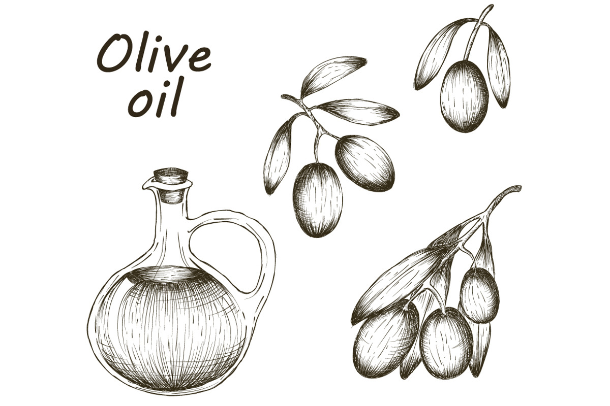 Olive oil hand drawn design elements, a Food Illustration by Tierre3012 (Photo 3 of 4)