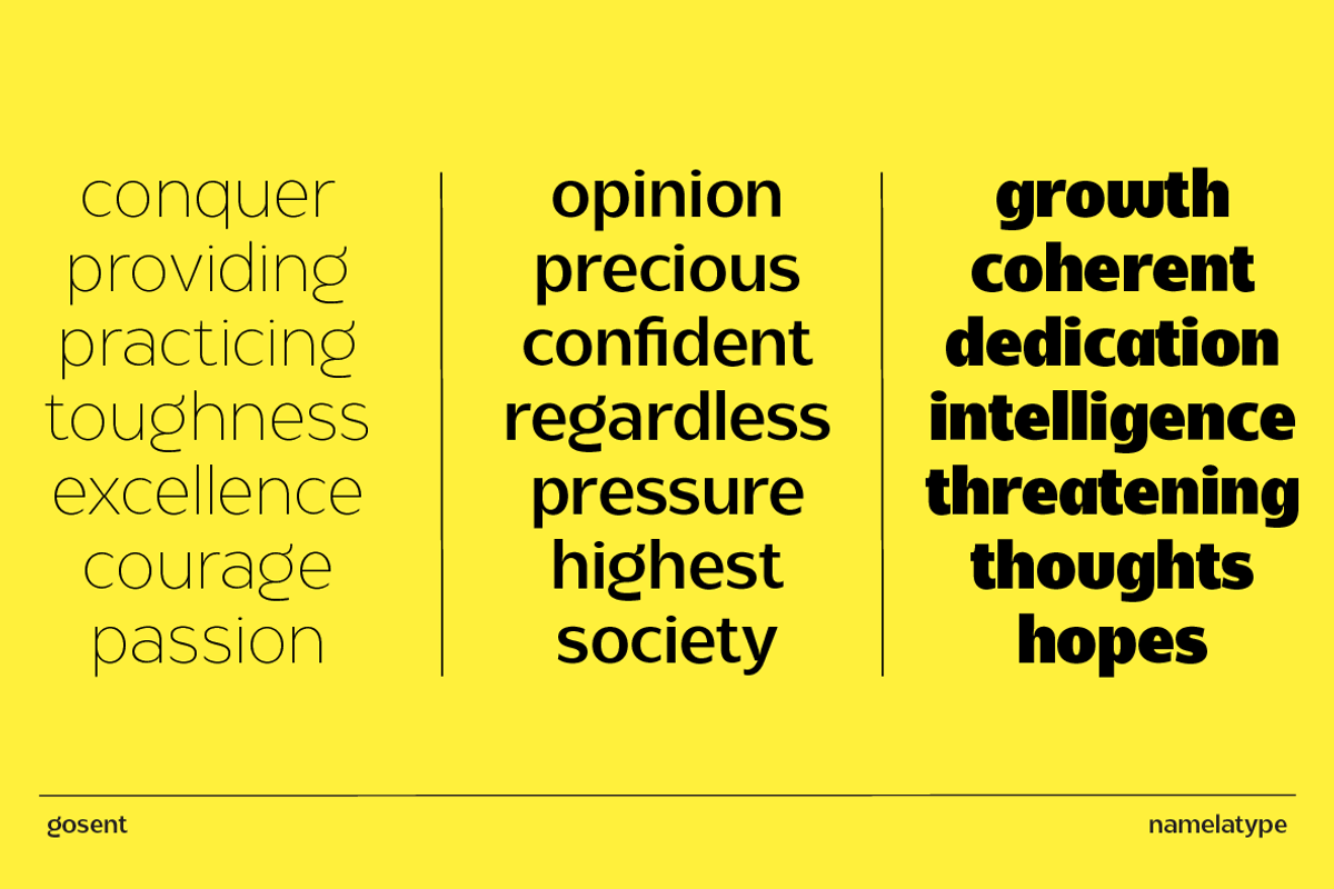 Gosent | Modern Sans Serif Typeface, a Sans Serif Font by Namela Studio (Photo 5 of 10)