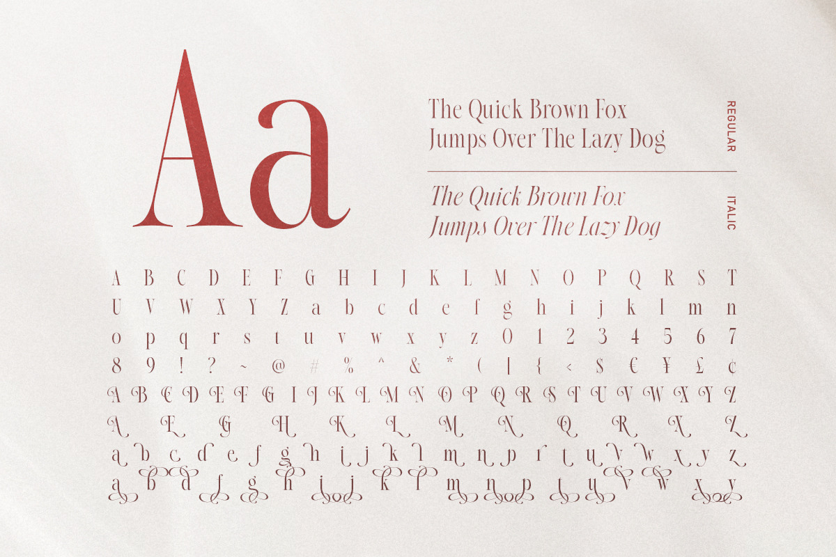 Native Designer - Delicate Serif, a Serif Font by Sarid Ezra (Photo 9 of 9)