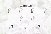 Blushing | Script Font, a Handwritten Font by Scratchones (Thumbnail 8 of 8)
